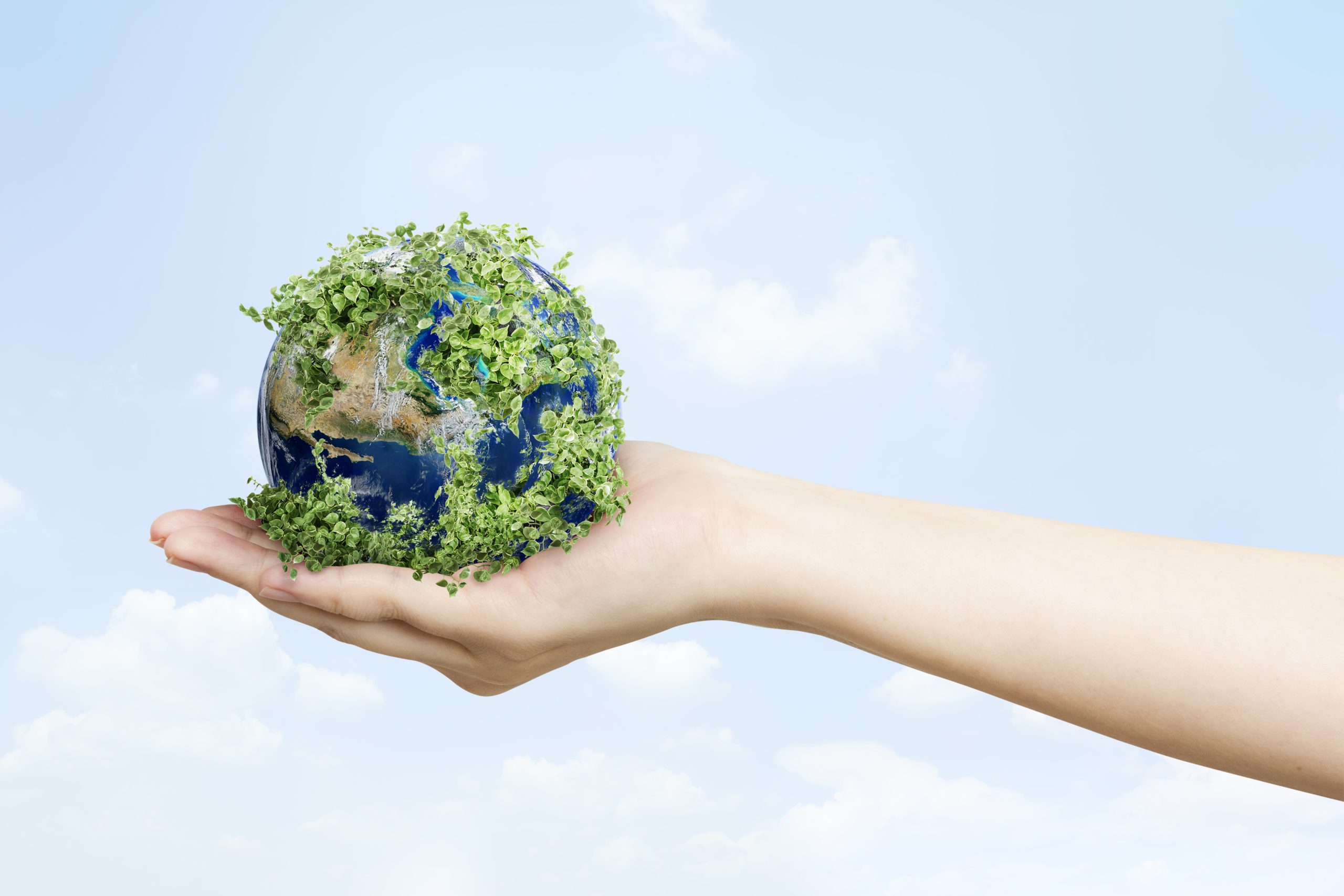 Sustainable living environmentalist hand holding green earth terra eco